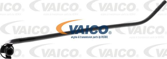 VAICO V40-0560 - Flessibile radiatore autozon.pro