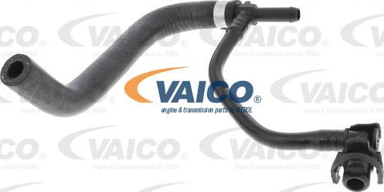 VAICO V40-0536 - Flessibile radiatore autozon.pro