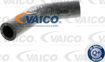 VAICO V40-0367 - Flessibile radiatore autozon.pro