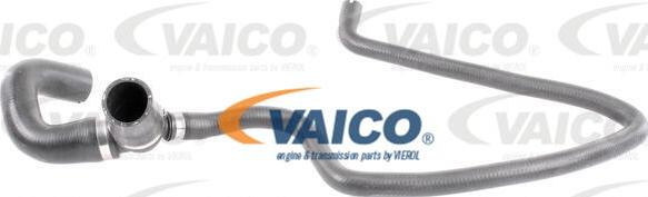 VAICO V40-1165 - Flessibile radiatore autozon.pro