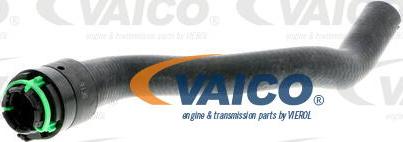 VAICO V40-1767 - Flessibile radiatore autozon.pro