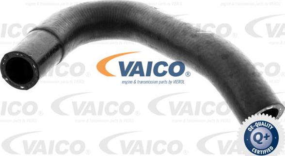 VAICO V40-2000 - Flessibile radiatore autozon.pro