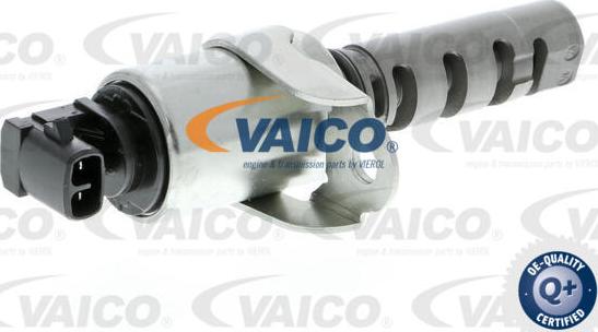 VAICO V41-0001 - Valvola comando, Regolazione albero a camme autozon.pro