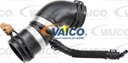 VAICO V48-0497 - Flessibile radiatore autozon.pro