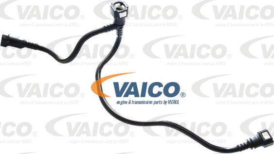 VAICO V42-0948 - Condotto carburante autozon.pro