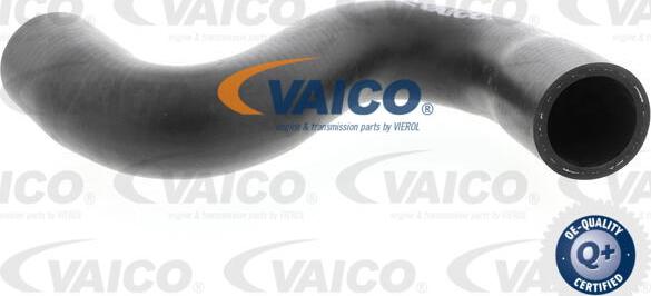 VAICO V42-0635 - Flessibile radiatore autozon.pro