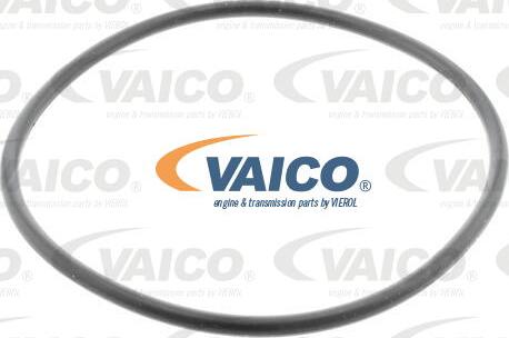 VAICO V42-0013 - Filtro carburante autozon.pro