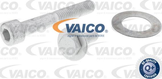 VAICO V42-0172 - Tendicinghia, Cinghia Poly-V autozon.pro