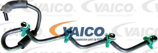 VAICO V42-0865 - Flessibile, Carburante perso autozon.pro