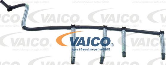 VAICO V42-0861 - Flessibile, Carburante perso autozon.pro