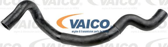 VAICO V42-0764 - Flessibile radiatore autozon.pro