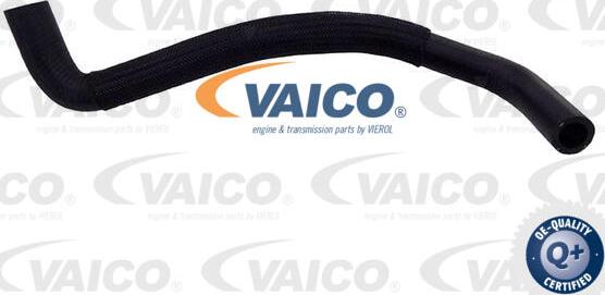 VAICO V42-1013 - Flessibile radiatore autozon.pro