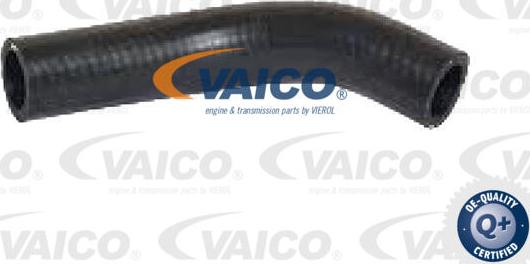 VAICO V42-1027 - Flessibile radiatore autozon.pro