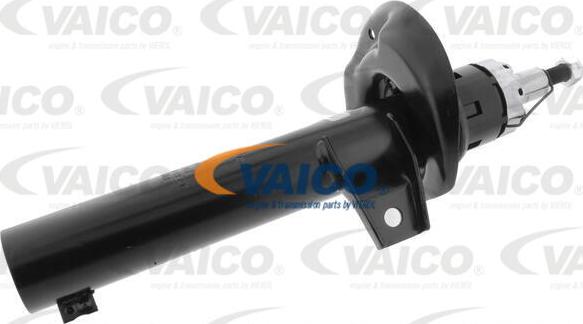 VAICO V10-4955 - Ammortizzatore autozon.pro