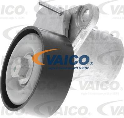 VAICO V10-4962 - Tendicinghia, Cinghia Poly-V autozon.pro