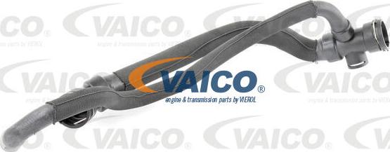 VAICO V10-4625 - Flessibile radiatore autozon.pro