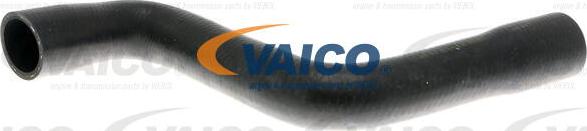 VAICO V10-4813 - Flessibile radiatore autozon.pro