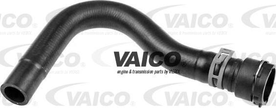 VAICO V10-5535 - Flessibile radiatore autozon.pro