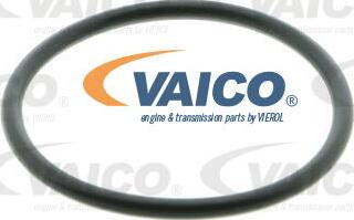 VAICO V10-50001-1 - Pompa acqua autozon.pro