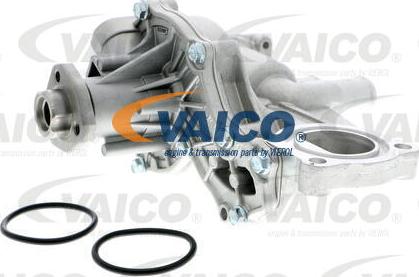 VAICO V10-50013 - Pompa acqua autozon.pro