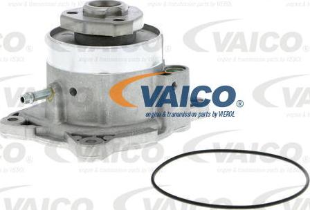 VAICO V10-50081 - Pompa acqua autozon.pro