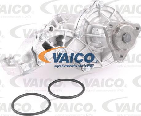 VAICO V10-50039 - Pompa acqua autozon.pro