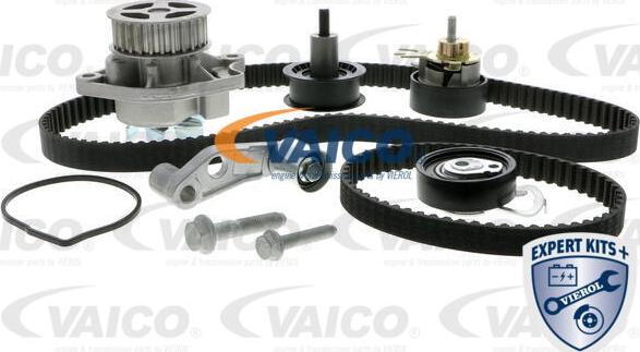 VAICO V10-50109-BEK - Pompa acqua + Kit cinghie dentate autozon.pro