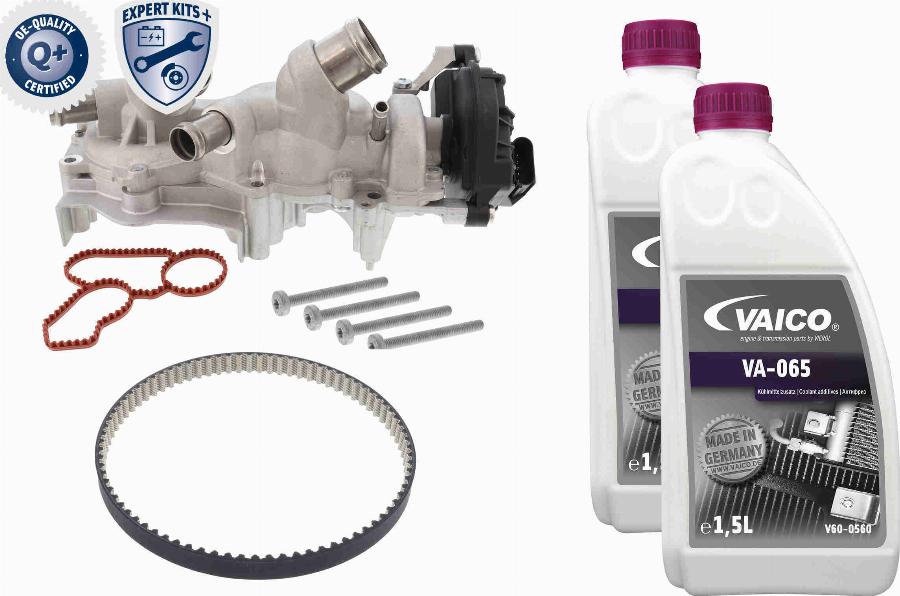 VAICO V10-50114-XXL - Pompa acqua + Kit cinghie dentate autozon.pro