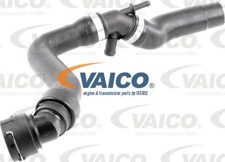 VAICO V10-5156 - Flessibile radiatore autozon.pro