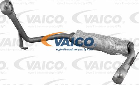 VAICO V10-6908 - Flessibile radiatore autozon.pro