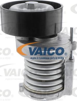 VAICO V10-0550 - Tendicinghia, Cinghia Poly-V autozon.pro