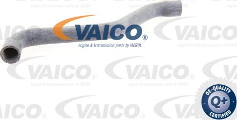 VAICO V10-0074 - Flessibile radiatore autozon.pro