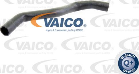 VAICO V10-0071 - Flessibile radiatore autozon.pro