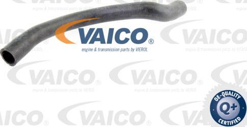 VAICO V10-0072 - Flessibile radiatore autozon.pro