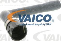 VAICO V10-0895 - Flessibile radiatore autozon.pro