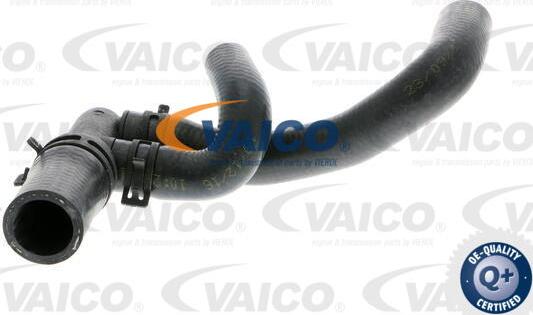 VAICO V10-0395 - Flessibile radiatore autozon.pro