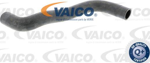 VAICO V10-0361 - Flessibile radiatore autozon.pro