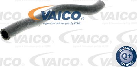 VAICO V10-0388 - Flessibile radiatore autozon.pro