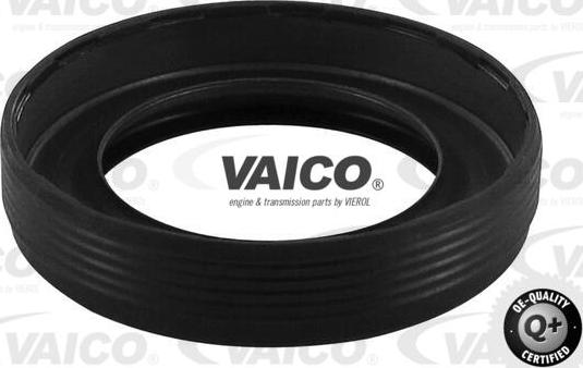 VAICO V10-10013 - Kit catena distribuzione autozon.pro