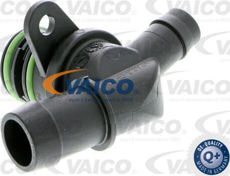 VAICO V10-3561 - Valvola di non ritorno autozon.pro