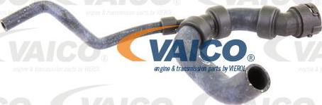 VAICO V10-3195 - Flessibile radiatore autozon.pro