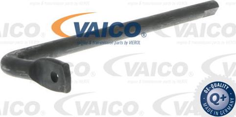 VAICO V10-3709 - Tendicinghia, Cinghia Poly-V autozon.pro