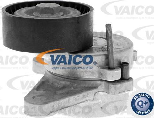 VAICO V10-3703 - Tendicinghia, Cinghia Poly-V autozon.pro