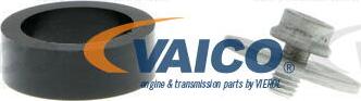 VAICO V10-3707 - Tendicinghia, Cinghia Poly-V autozon.pro