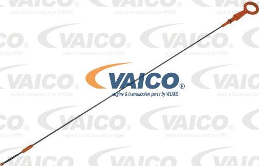 VAICO V10-2983 - Asta controllo livello olio autozon.pro