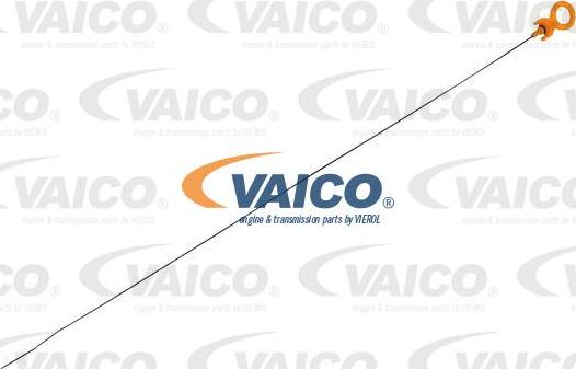 VAICO V10-2487 - Asta controllo livello olio autozon.pro