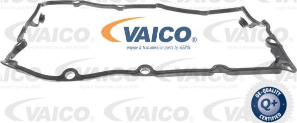 VAICO V10-2557 - Guarnizione, Copritestata autozon.pro