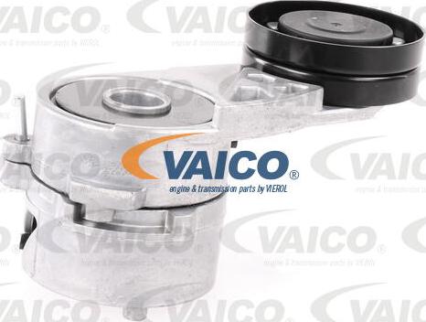 VAICO V10-2097 - Tendicinghia, Cinghia Poly-V autozon.pro