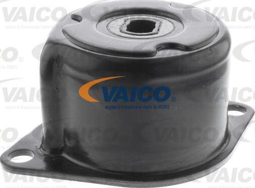 VAICO V10-2100 - Tendicinghia, Cinghia Poly-V autozon.pro