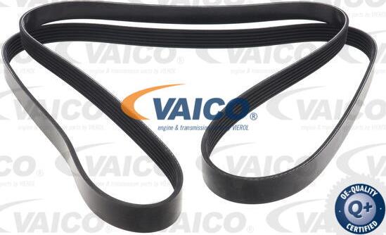 VAICO V10-7957 - Cinghia Poly-V autozon.pro